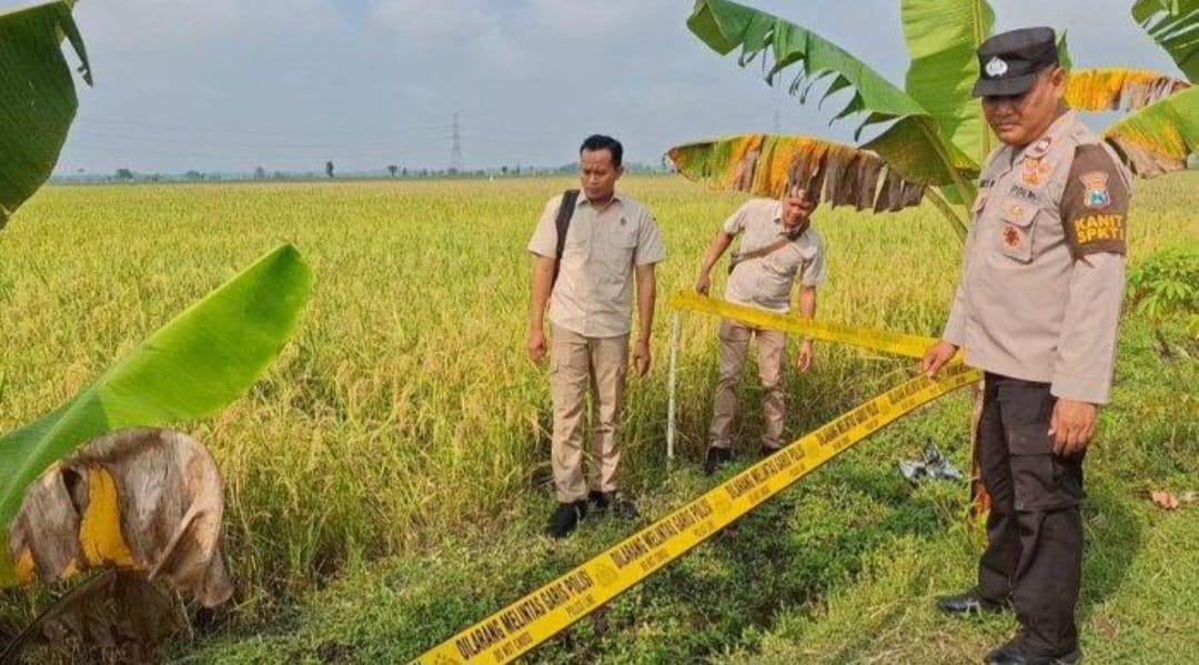 Di pematang sawah Pilangkenceng Madiun ditemukan sosok bayi