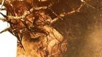 Cover film passion of the christ