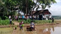Kodim Boyolali lakukan tanam padi serentak