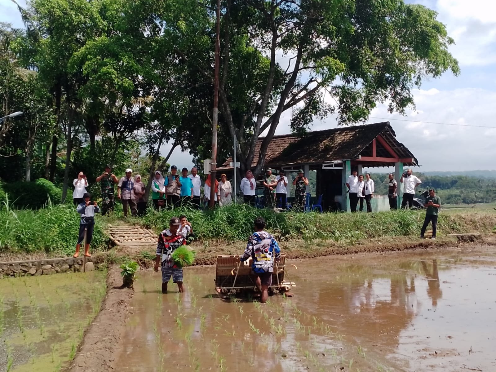 Kodim Boyolali lakukan tanam padi serentak