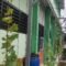 SMPN 1 Panggul kembangkan kebun anggur edukatif sebagai gerakan penghijauan sekolah (Foto : Bayu,NewsTujuh)
