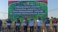 AKBP Wiwin Junianto SIK.,pimpin penanamam jagung seremtak kuartal III