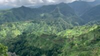 Resmi dibuka, jalur pendakian Desa Botoputih tawarkan rute ramah pemula dengan panorama hutan pinus, kebun asri, dan udara pegunungan segar di ketinggian 1.520 mdpl. (Foto : Bayu, NewsTujuh)