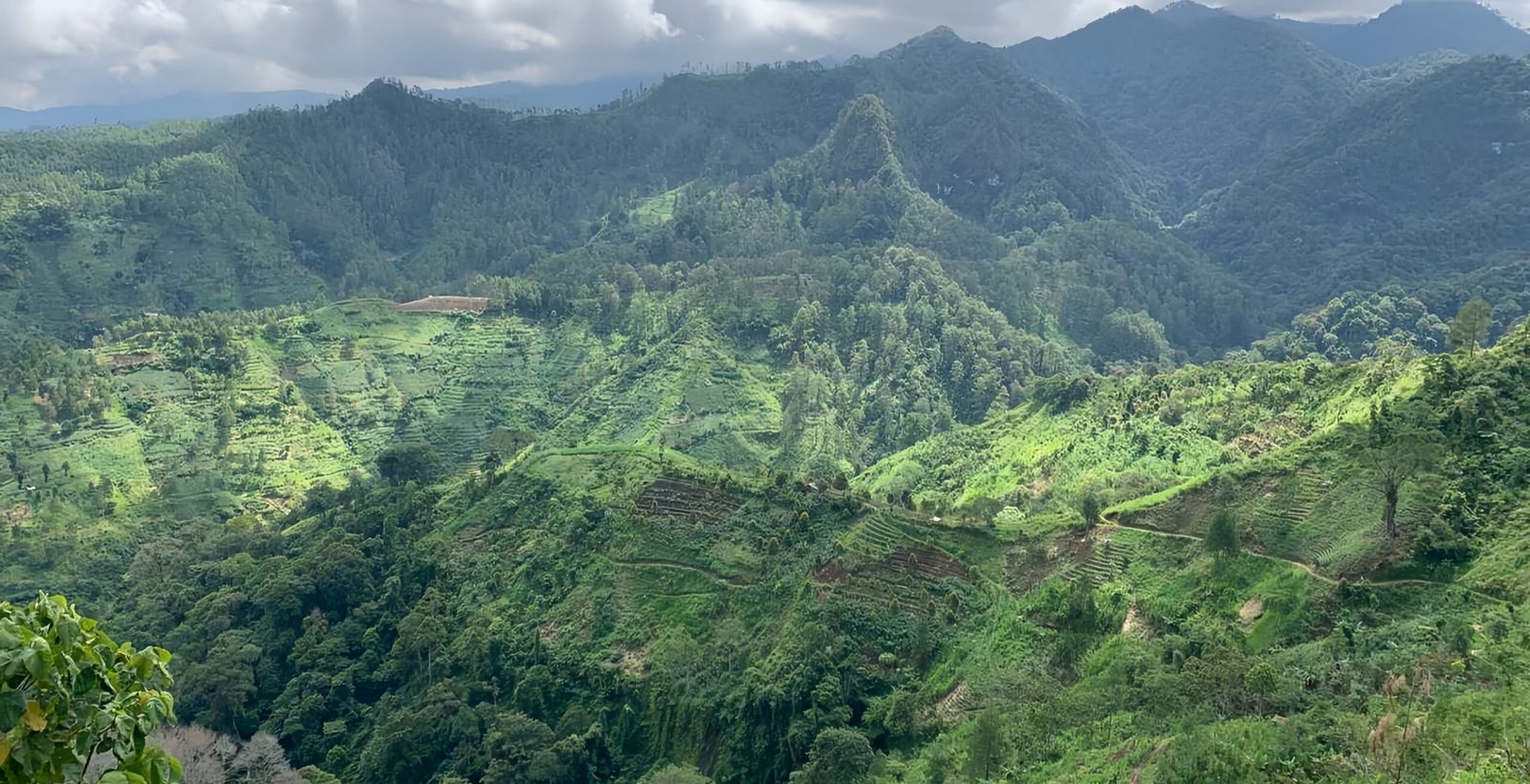 Resmi dibuka, jalur pendakian Desa Botoputih tawarkan rute ramah pemula dengan panorama hutan pinus, kebun asri, dan udara pegunungan segar di ketinggian 1.520 mdpl. (Foto : Bayu, NewsTujuh)