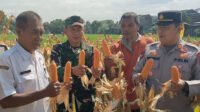Kapolsek Taman Tekankan Pentingnya Swasembada Pangan 2025. (Foto : Zacky, NewsTujuh)