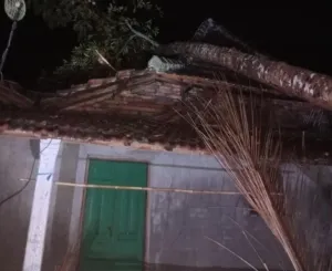 Badai Terjang Dagangan Madiun, Rumah Rusak dan Listrik Padam 1 Terlihat salah satu rumah warga tertimpa pohon akibat hujan deras disertai angin kencang (Foto : Naw,NewsTujuh)