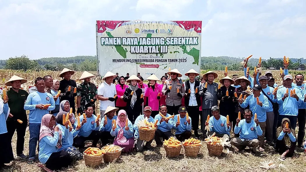 Forkopimda Boyolali Gelar Panen Raya Jagung Serentak 1 Forkopimda Boyolali Gelar Panen Raya Jagung Serentak