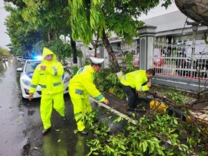 Hujan Deras dan Angin Kencang Landa Madiun, Pohon Tumbang di Tiga Lokasi 8 Petugas Satlantas Polres Madiun Kota bersama DLH mengevakuasi pohon tumbang di Jalan Yos Sudarso usai hujan deras disertai angin kencang melanda Madiun. (Hery, NewsTujuh)