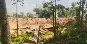 Proyek Normalisasi Sungai Ngasinan Picu Polemik, Kompensasi Hanya Rp. 200 Ribu 1 Warga Kelutan kecewa proyek normalisasi Sungai Ngasinan Trenggalek tanpa sosialisasi, kompensasi hanya Rp200 ribu. (Foto : Bayu, NewsTujuh)