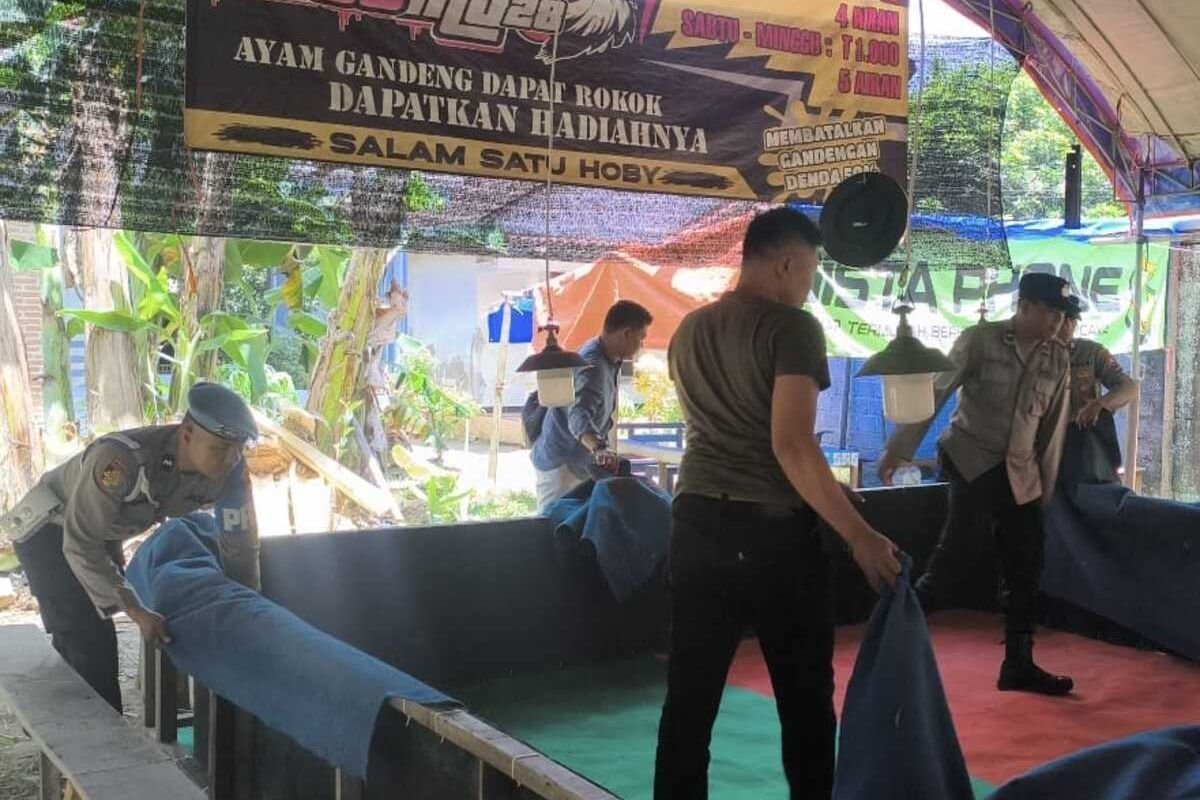 Polisi Bongkar Arena Sabung Ayam di Trenggalek: Berawal dari Laporan Warga, Diungkap Unsur Perjudian dan Penyiksaan Hewan 1 Arena