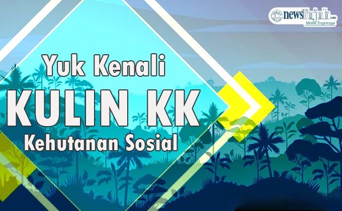 Wajib Tahu , 1,3 Juta Ha Lahan Perhutani Dialihkan Negara ke Rakyat Gratis 1 Lahan Perhutani