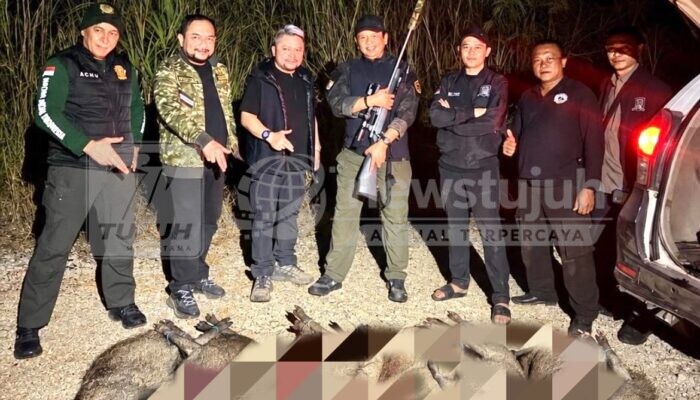Bamsoet Dukung Pengendalian Babi Hutan
