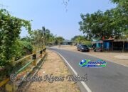 Taman Bantaran Kota Madiun Ramai, Warga Sebut Mirip BKT Jakarta