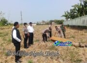 Lansia 77 Tahun Meninggal di Persawahan Madiun