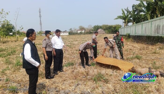 Lansia 77 Tahun Meninggal di Persawahan Madiun