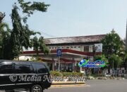 Tanaman Median Jalan Yos Sudarso Madiun Disorot, Jarak Pandang Jadi Perhatian