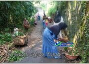 Ibu-Ibu Kampung Cipayung Ciomas Gelar Kerja Bakti Bersihkan Jalan