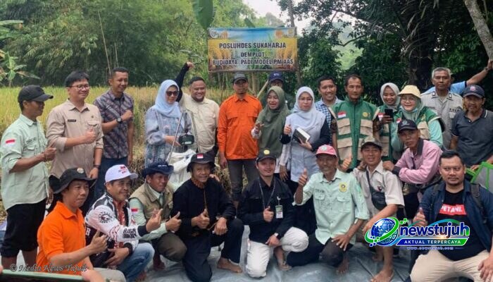 Panen Perdana Padi PM AAS di Sukaharja Bogor, Petani Klaim Hasil Naik 30 Persen